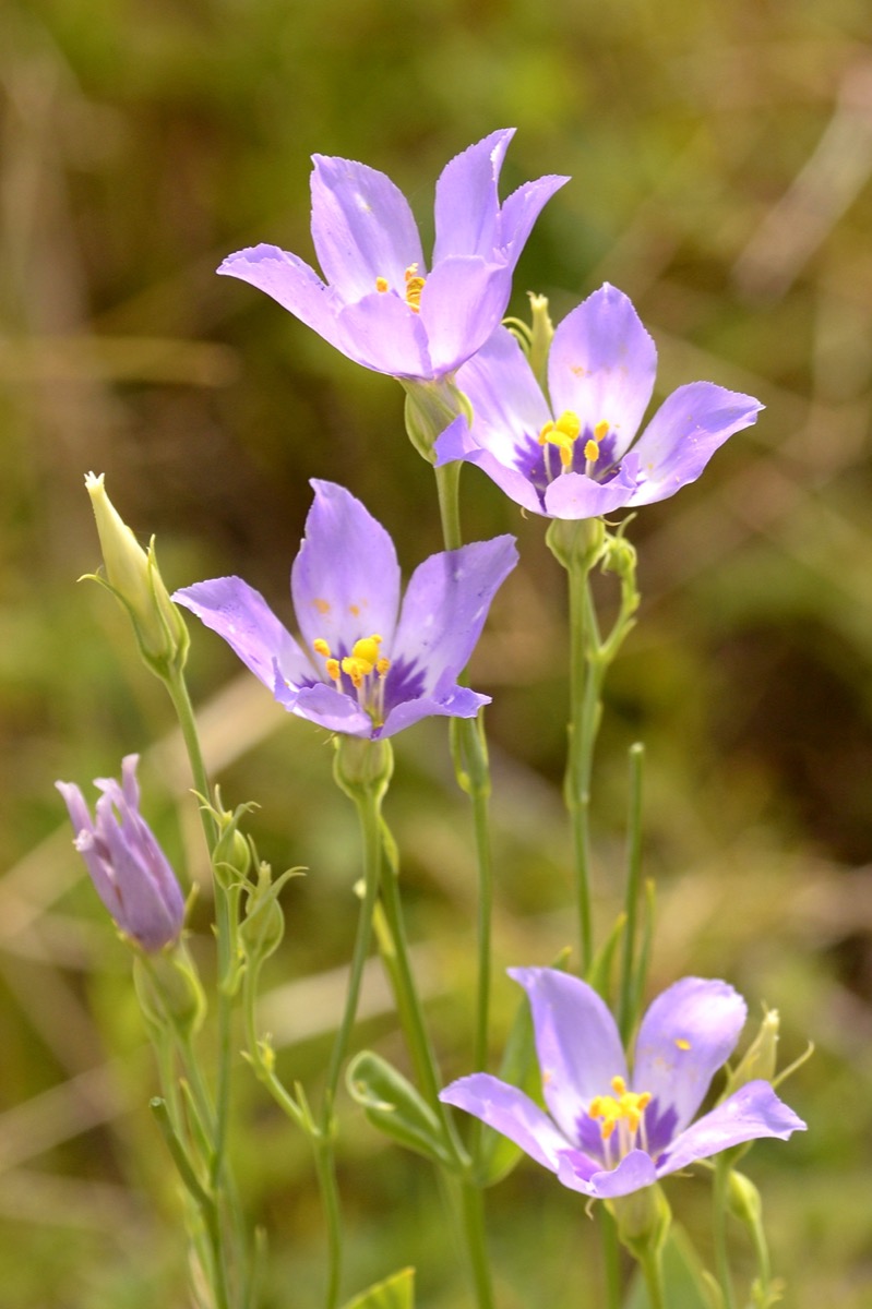 Southern Exposures Youth Nature Photo Contest