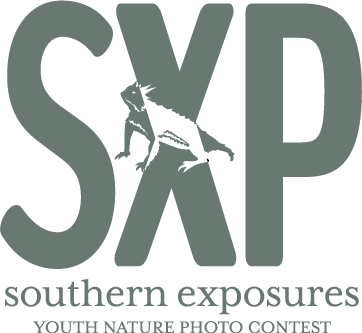 Southern Exposures Youth Nature Photo Contest